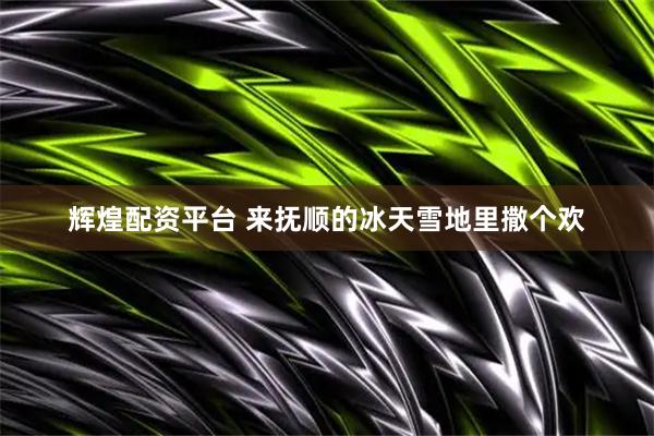 辉煌配资平台 来抚顺的冰天雪地里撒个欢